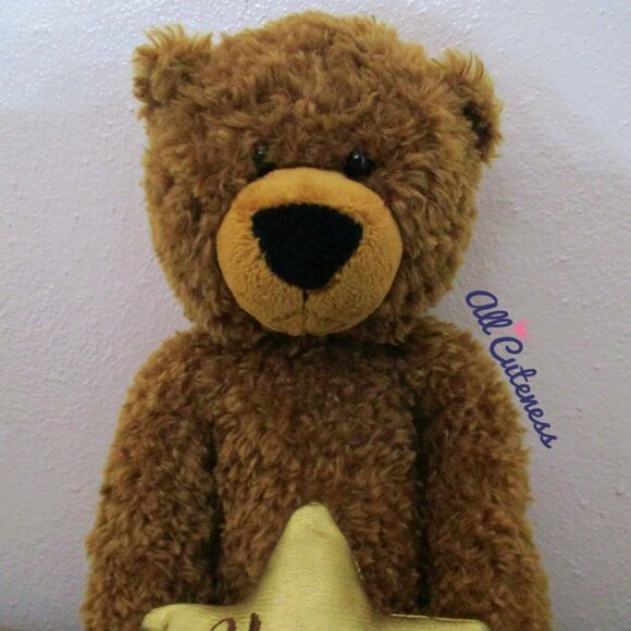Hope Star Teddy Bear Plush - Picture 3 of 8